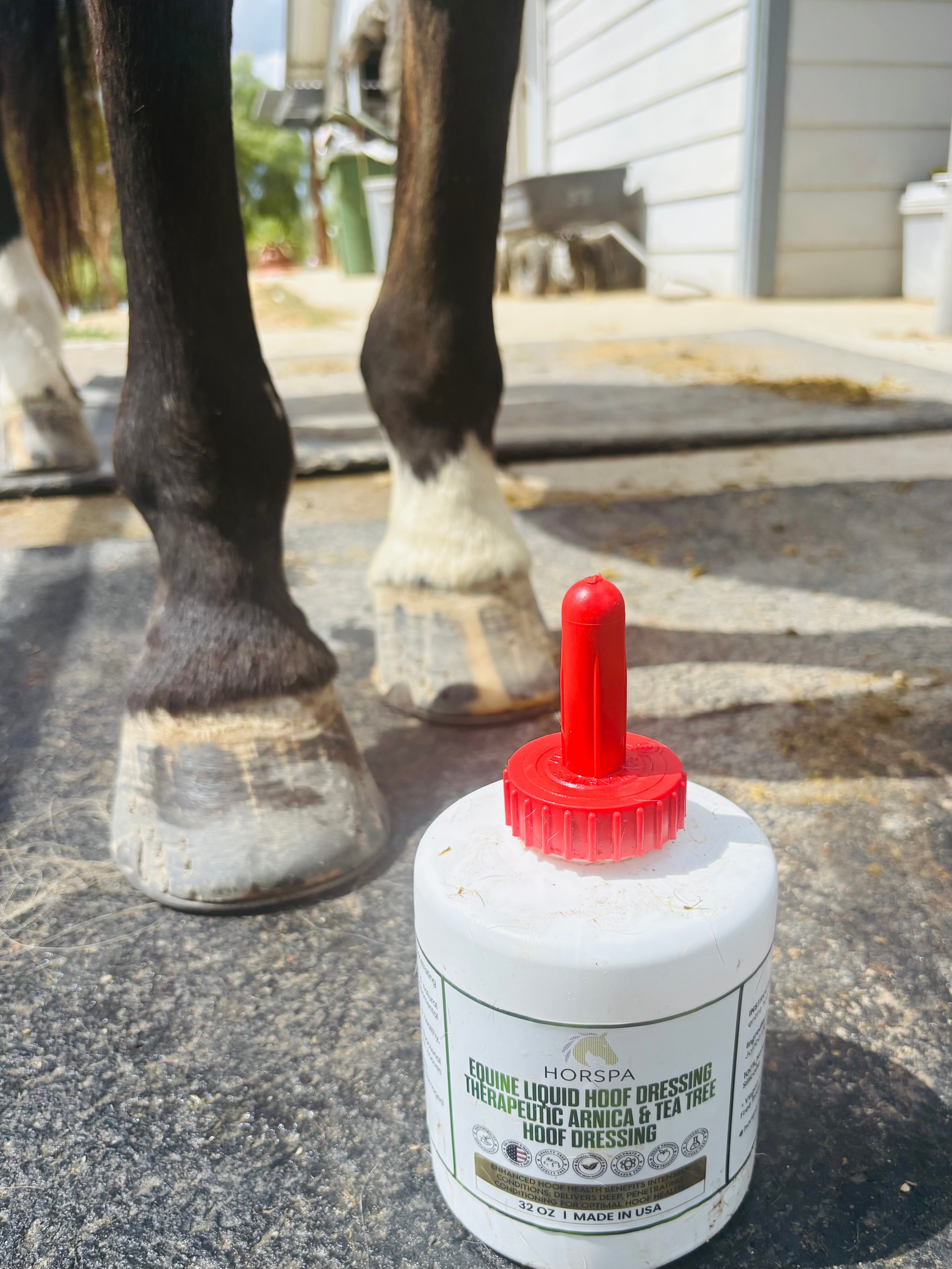 Equine Liquid Hoof Dressing  Arnica & Tea Tree  32 oz