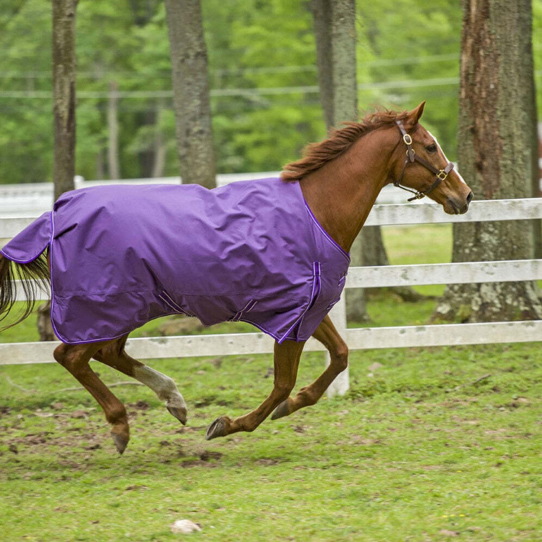 TuffRider 1680 D Super Comfy Winter Ripstop Turnout Blanket Medium Weight 200 GSM Standard Neck