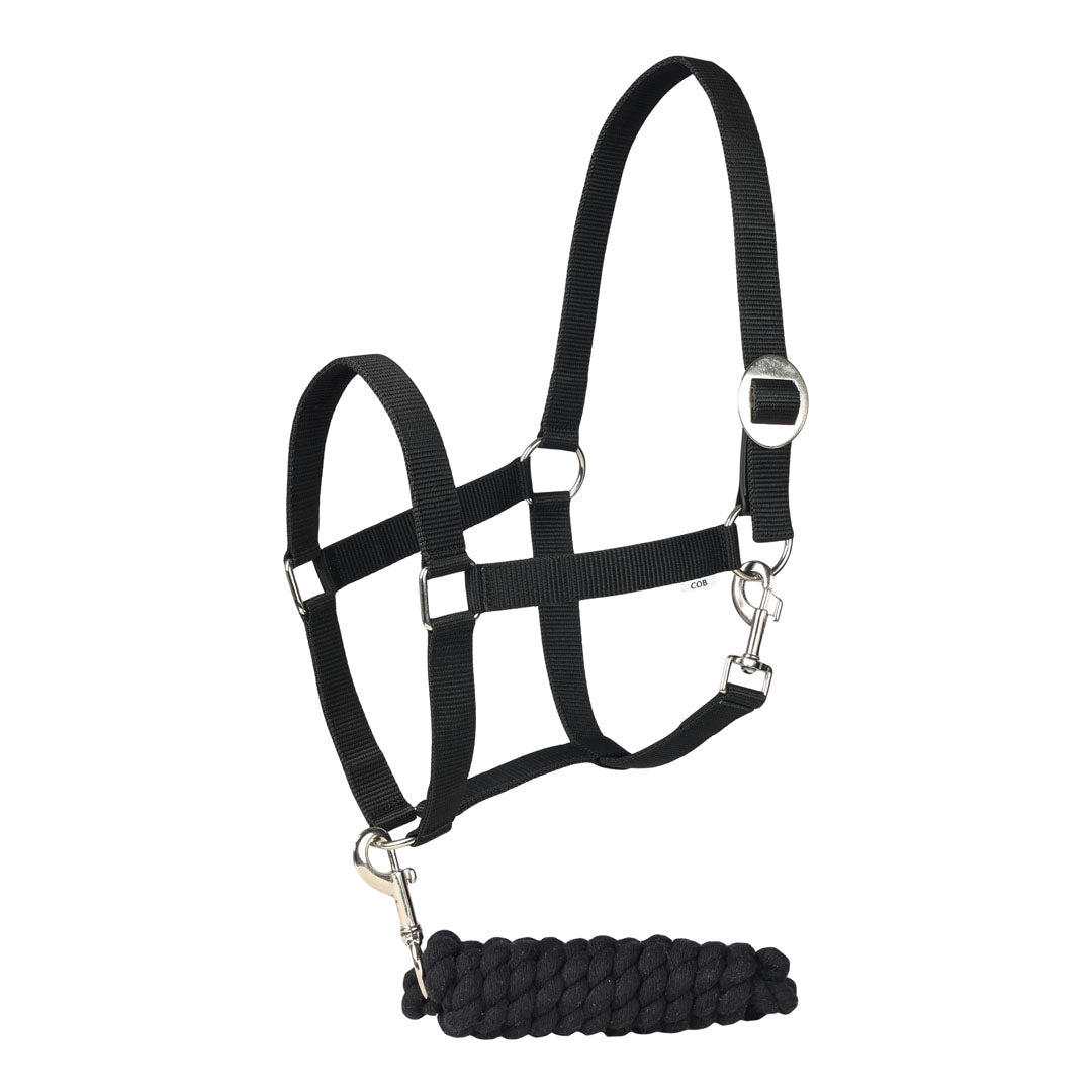 TuffRider Halter And Lead Rope With Breakaway Leather