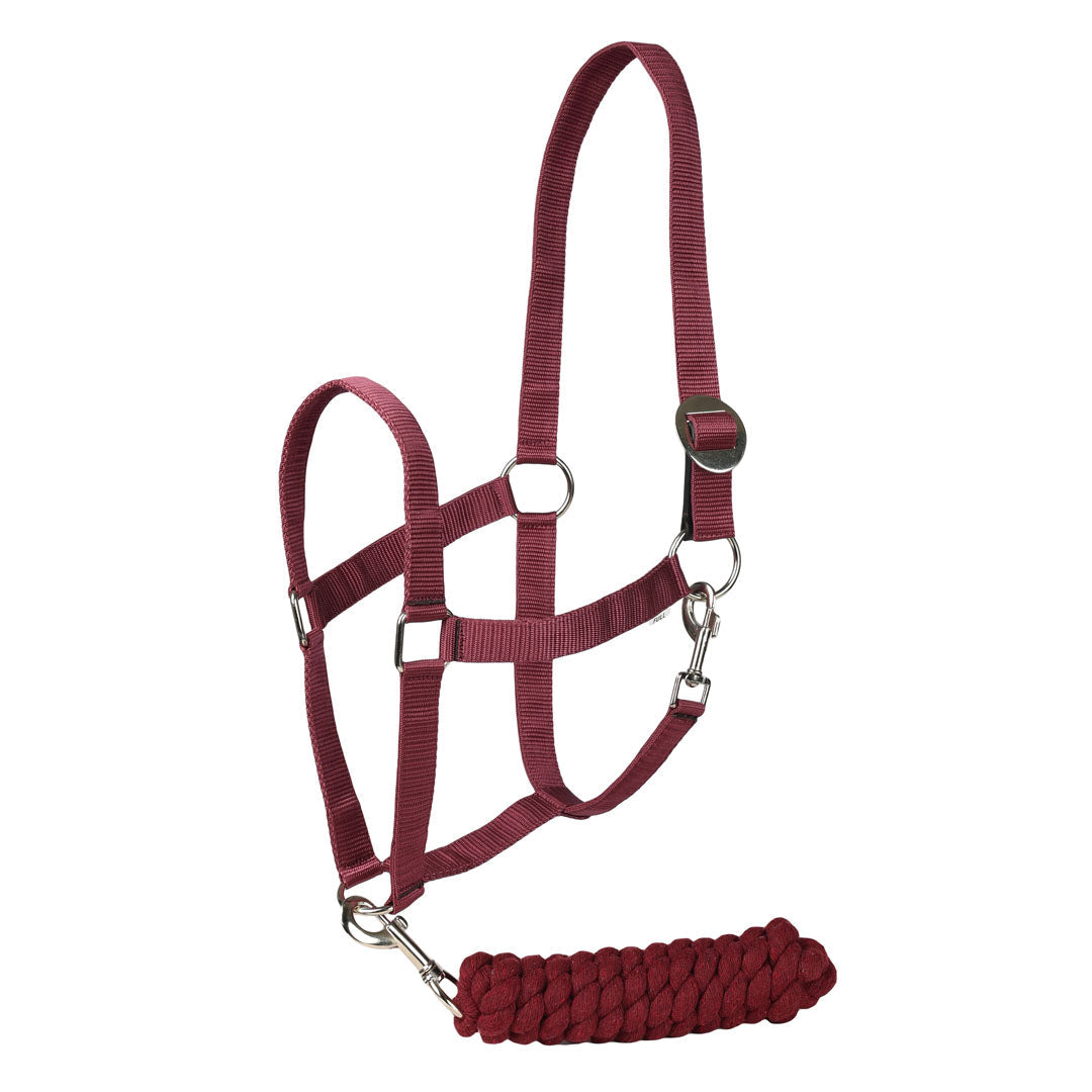 TuffRider Halter And Lead Rope With Breakaway Leather