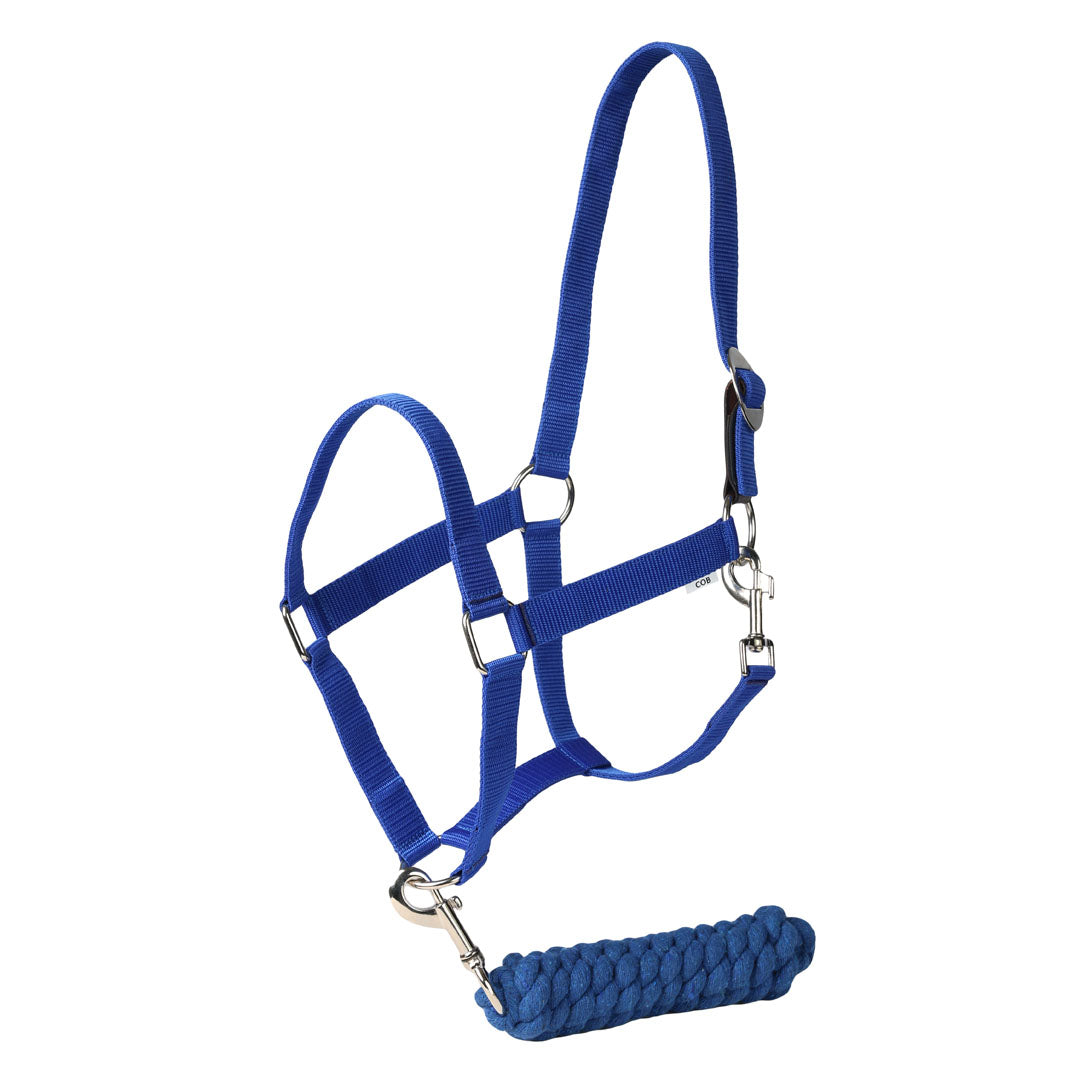 TuffRider Halter And Lead Rope With Breakaway Leather
