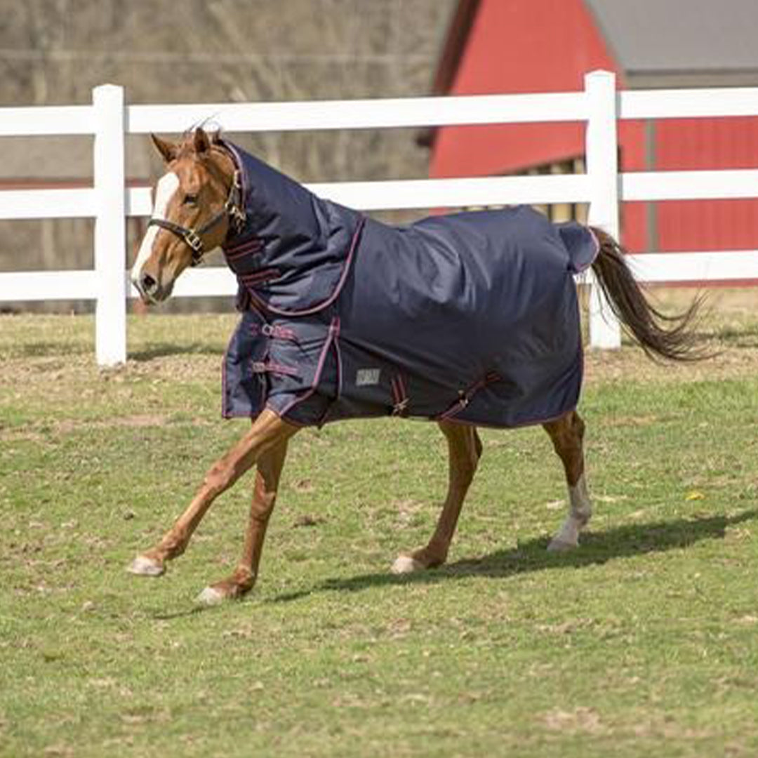TuffRider 1200 D Comfy Winter Medium Weight Ripstop Turnout Blanket w/ Detachable Neck- 200 GSM