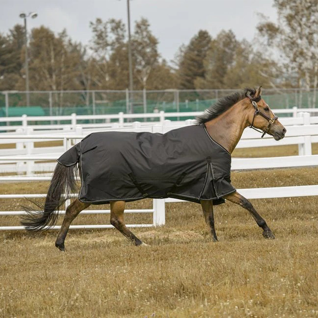 TuffRider 600 D  Comfy Winter Ripstop Turnout Blanket Medium Weight 200 GSM Standard Neck