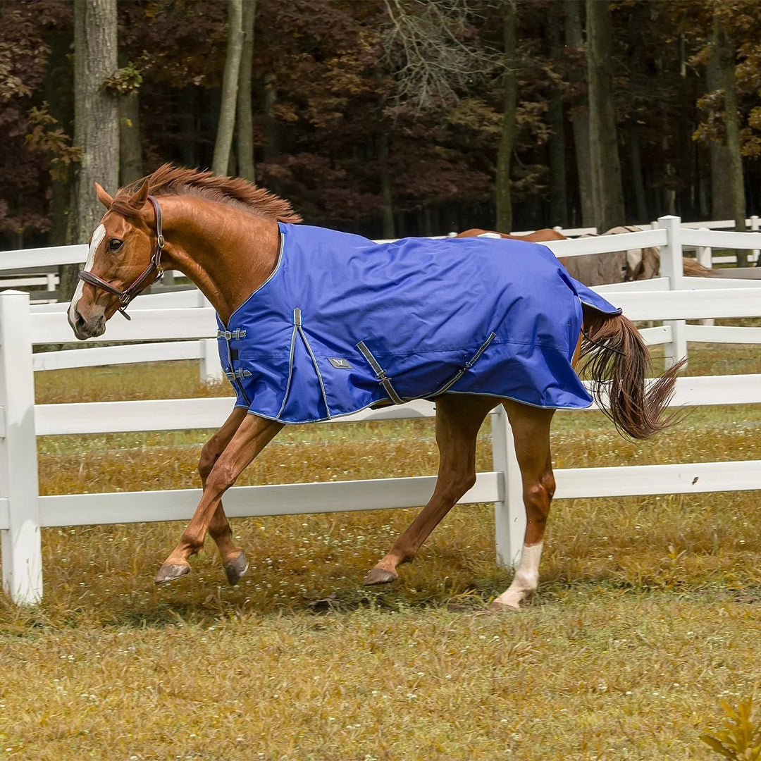 TuffRider 600 D  Comfy Winter Ripstop Turnout Blanket Medium Weight 200 GSM Standard Neck