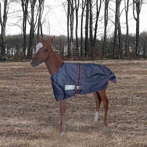 TuffRider 1200D Ripstop Foal Adjustable Turnout Blanket 220GSM Fill