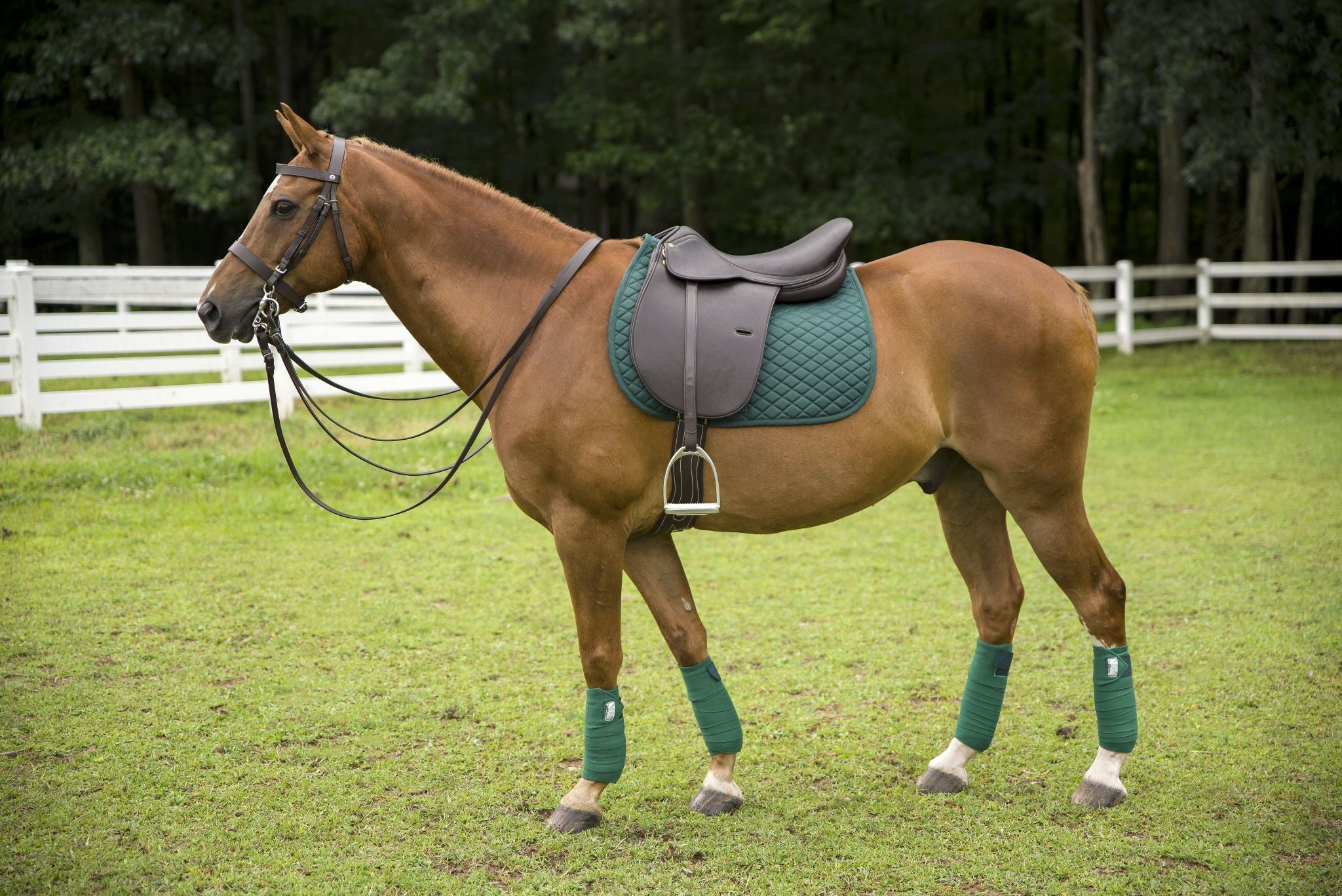 Henri De Rivel Jaipur Polo Saddle