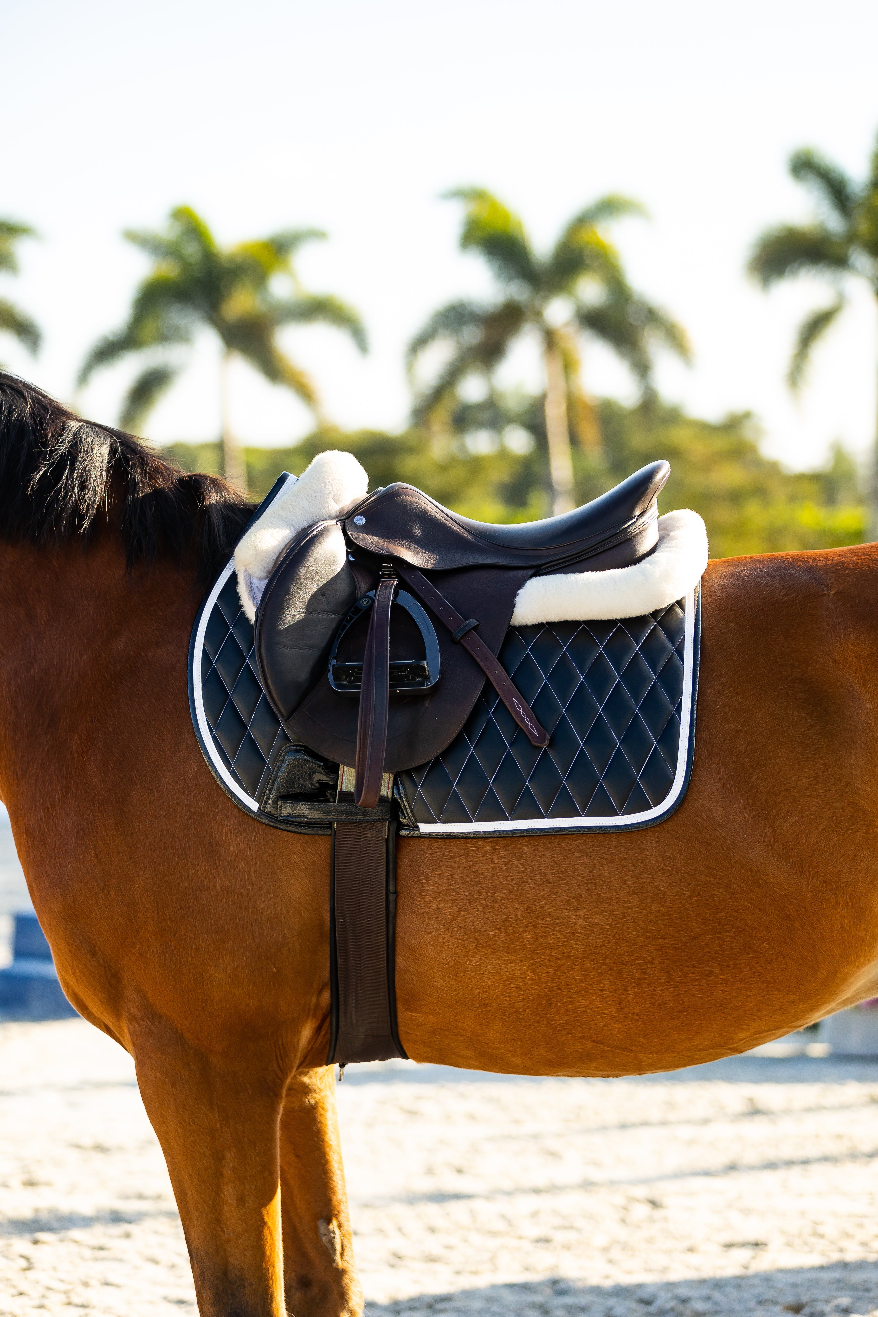 Jump Saddle Pad | Black