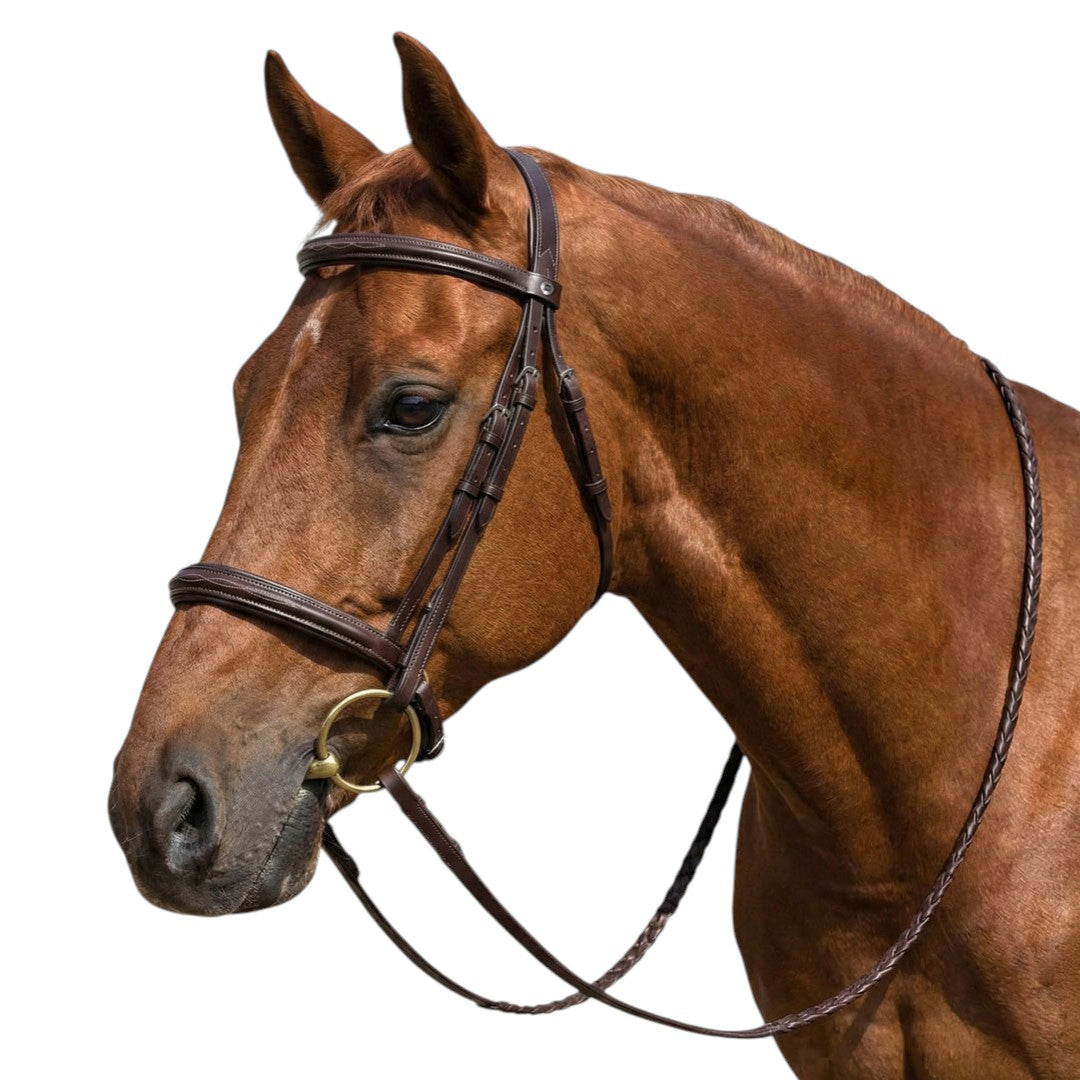 Henri de Rivel Advantage Mono Crown Padded Bridle