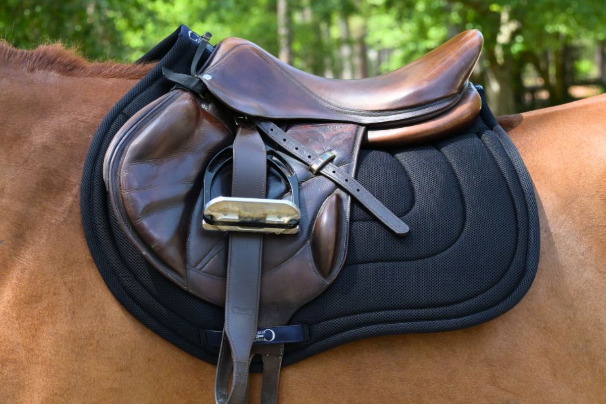 Jump Mesh Saddle Pad with Quick Dry Cotton Lining in Navy, White, or Black