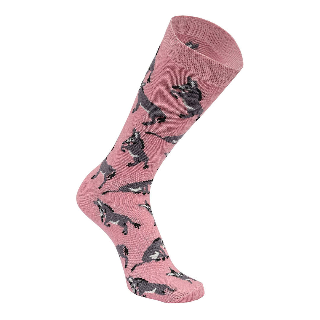 AWST Int'l Playful Donkeys Socks 6 pack