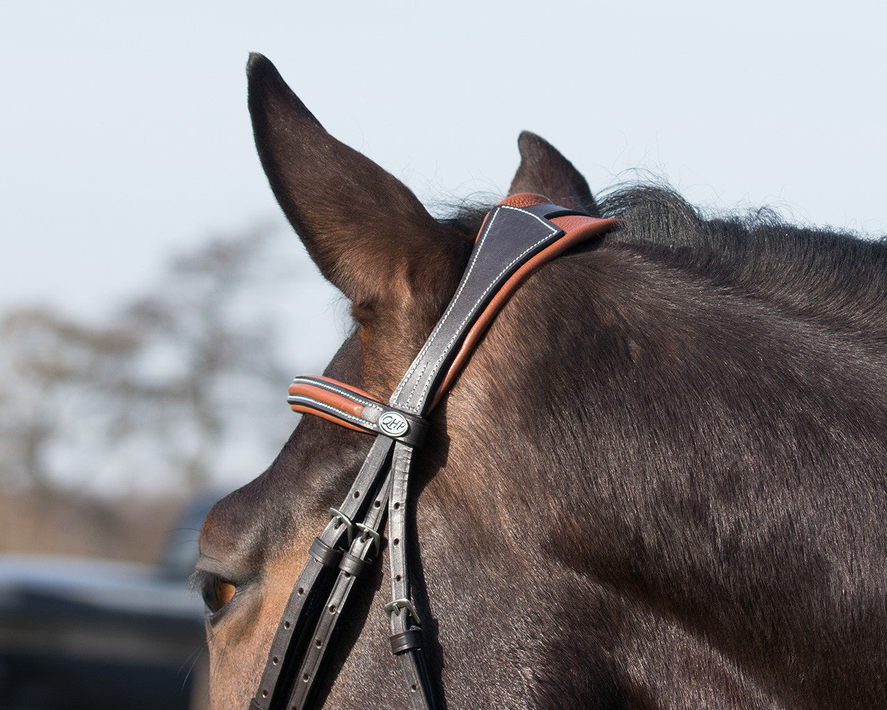 QHP Freya Bridle