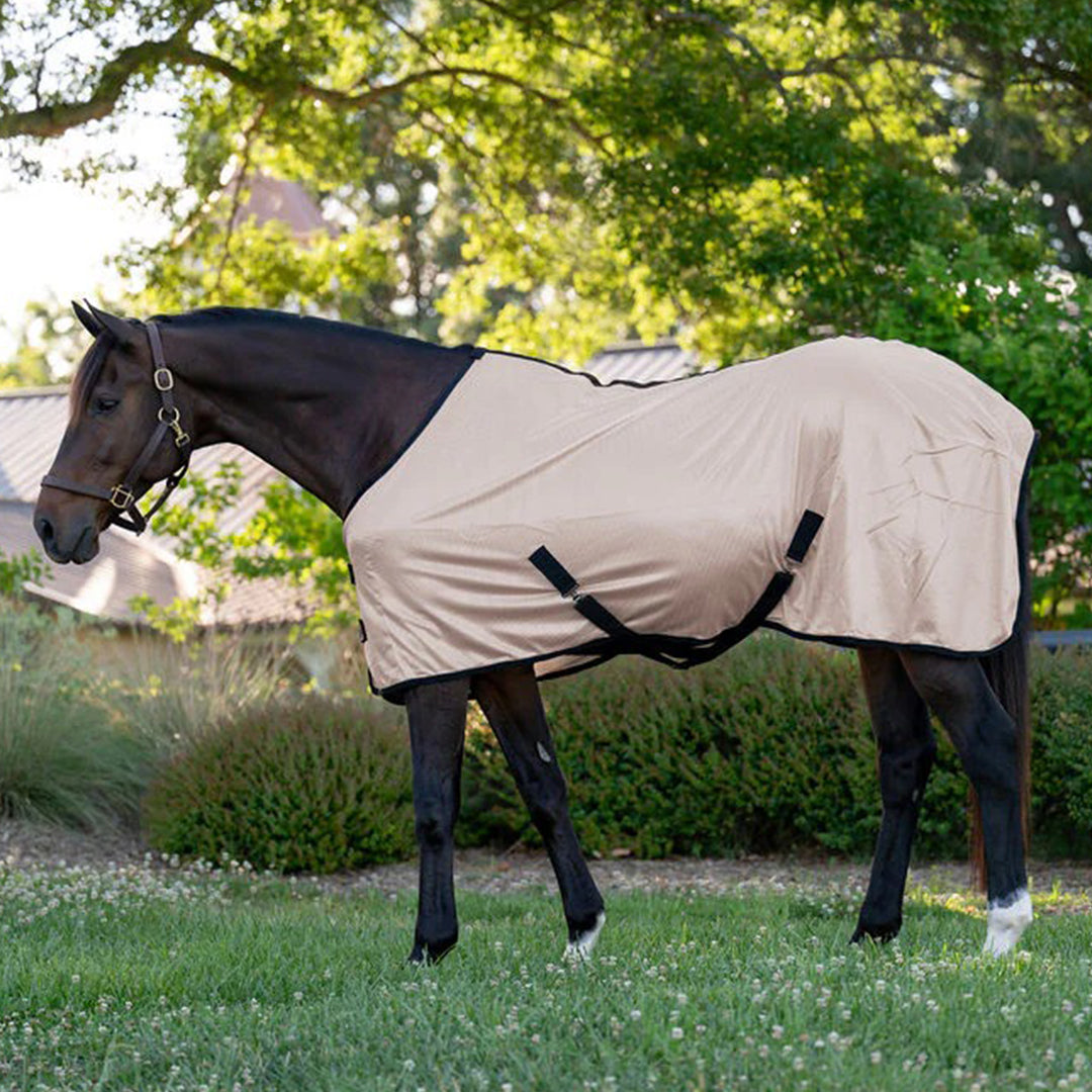 Miller's Standard Neck Fly Sheet