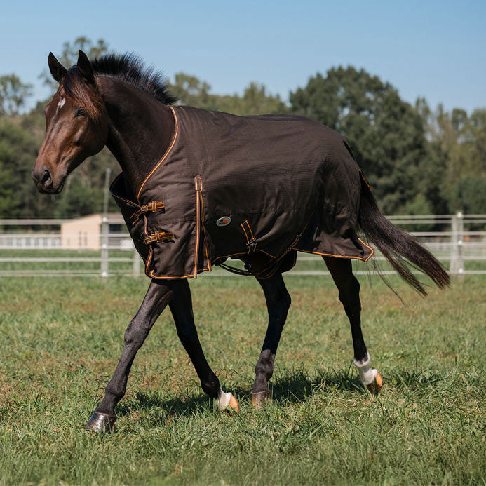 Millers 600D Ripstop Medium Weight Turnout Blanket 200 GSM Standard Neck