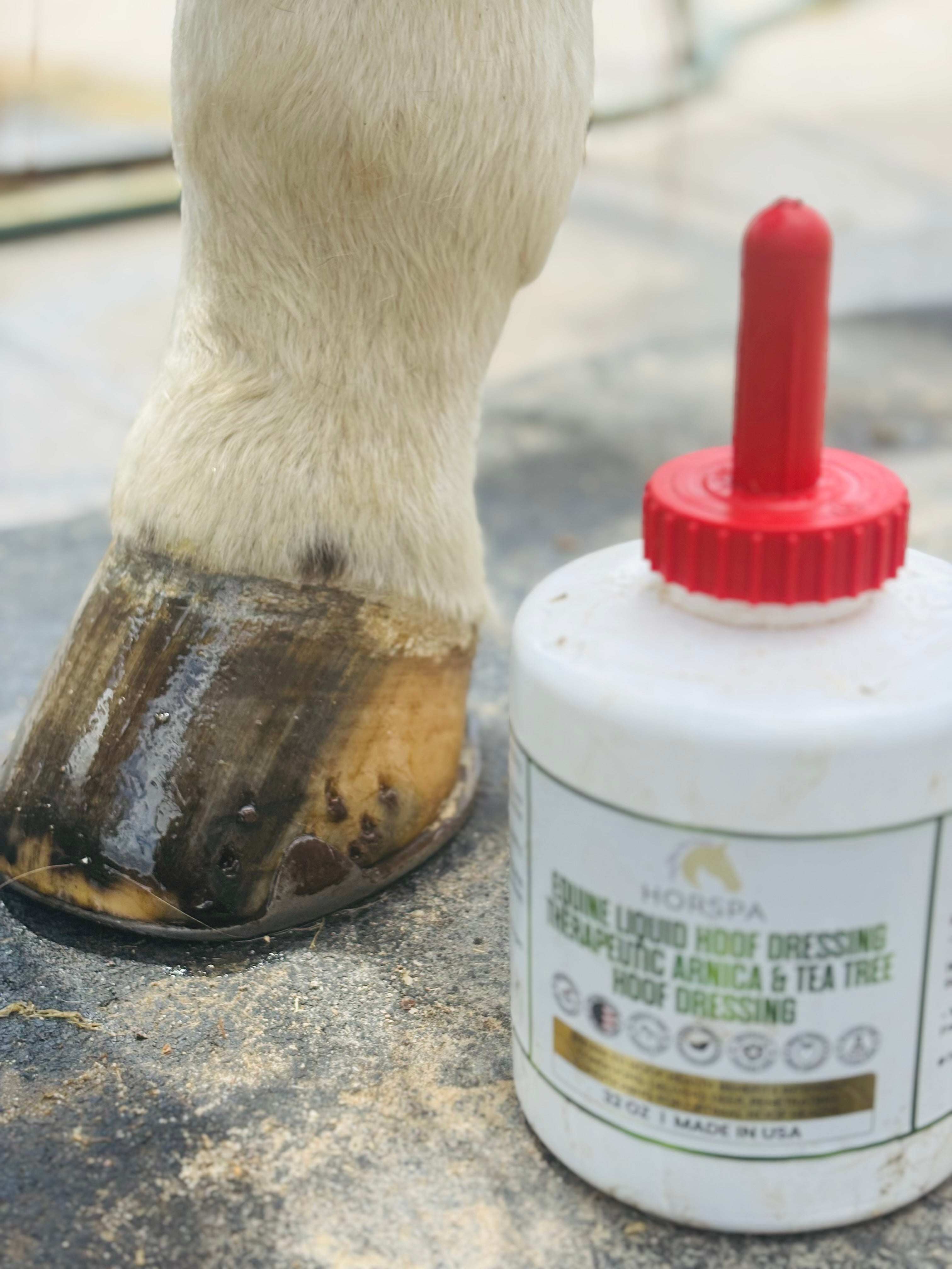 Equine Liquid Hoof Dressing  Arnica & Tea Tree  32 oz