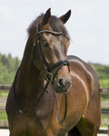 QHP Amor Bridle