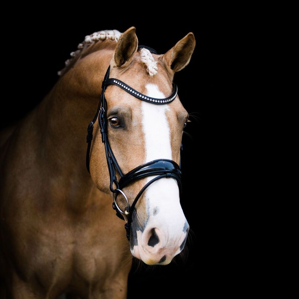 Lumiere Aurelie Cob Bridle with Flash