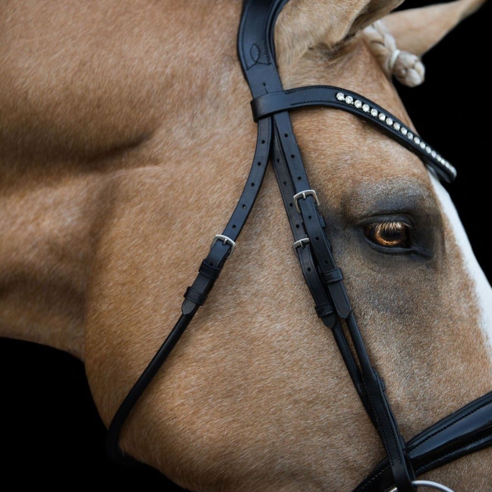 Lumiere Aurelie Cob Bridle with Flash