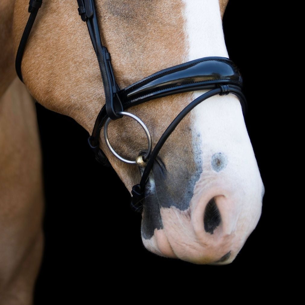 Lumiere Aurelie Cob Bridle with Flash