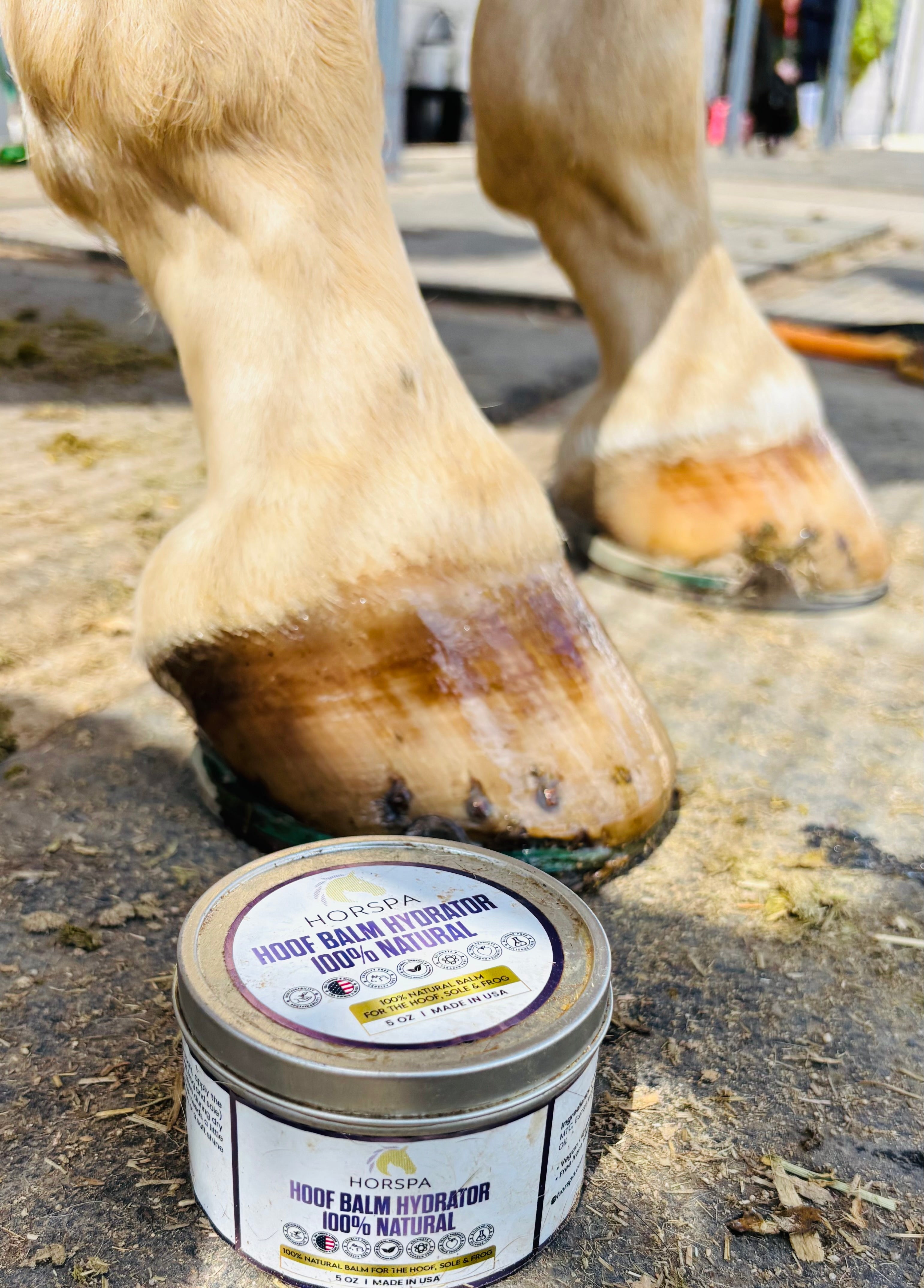 Hoof Balm Hydrator 100% Natural with Brush Applicator  5 oz