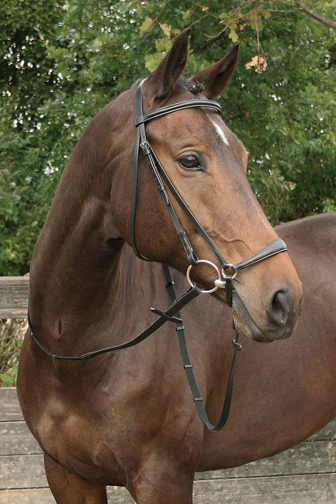 Harry's Horse Drop Noseband Bridle Bronze