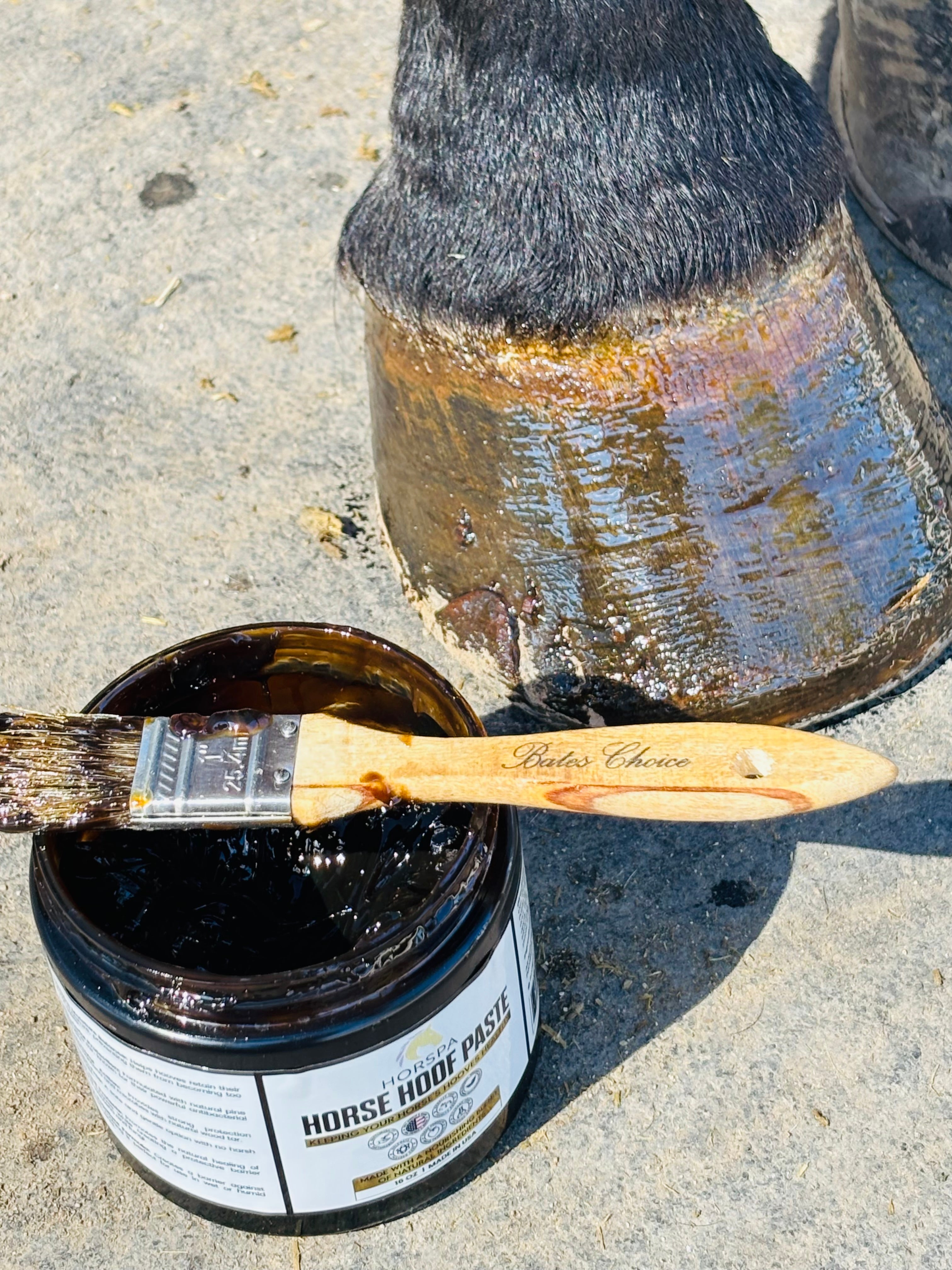 Horse Hoof PASTE & brush applicator 16 oz