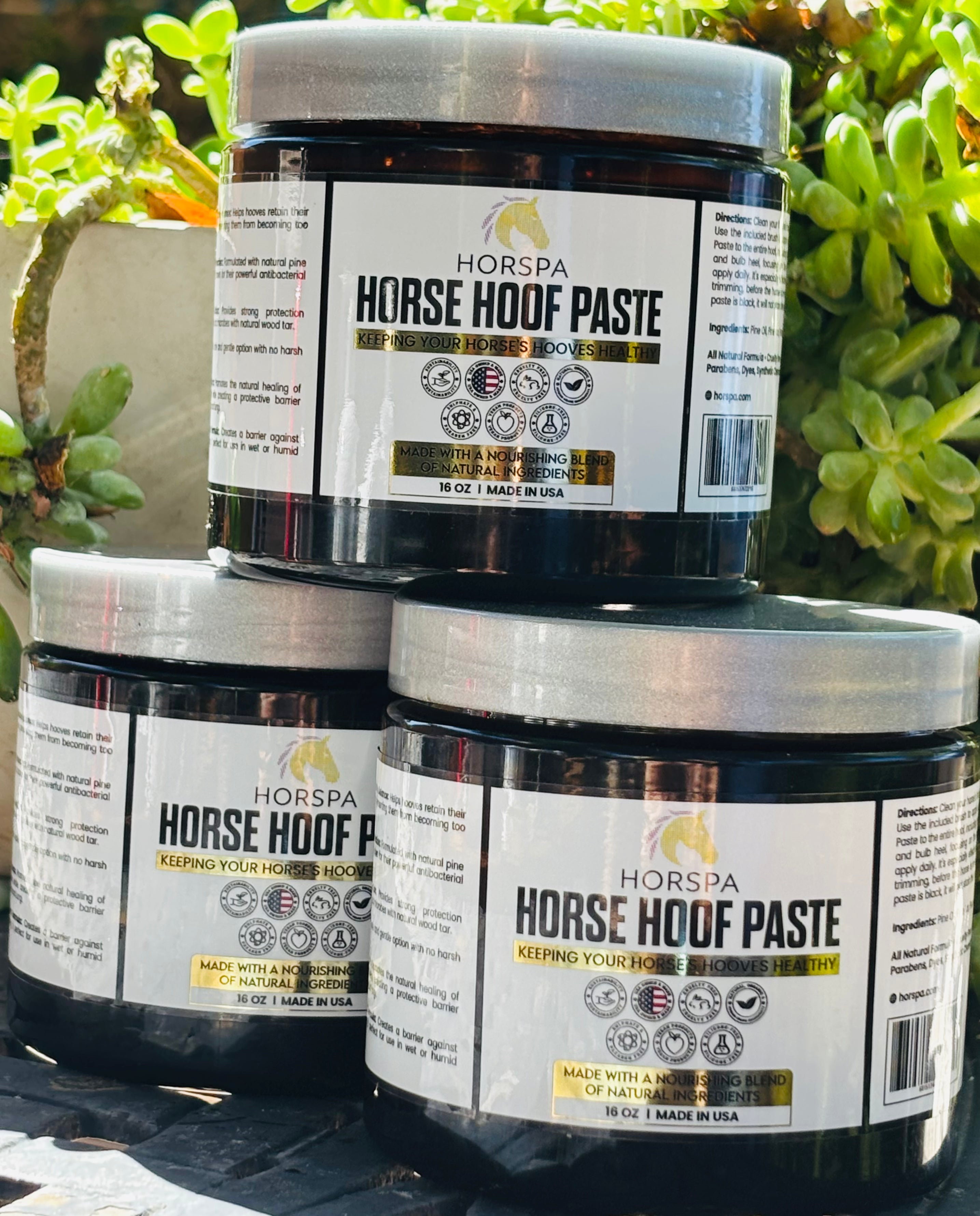 Horse Hoof PASTE & brush applicator 16 oz