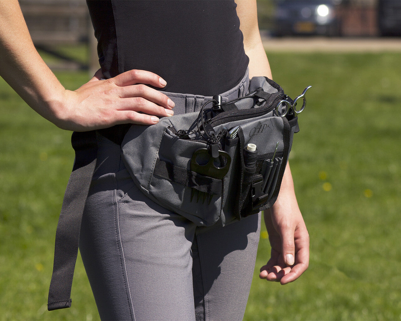 QHP Grooming Hip Set