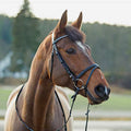 Horze Weston Shetland Bridle