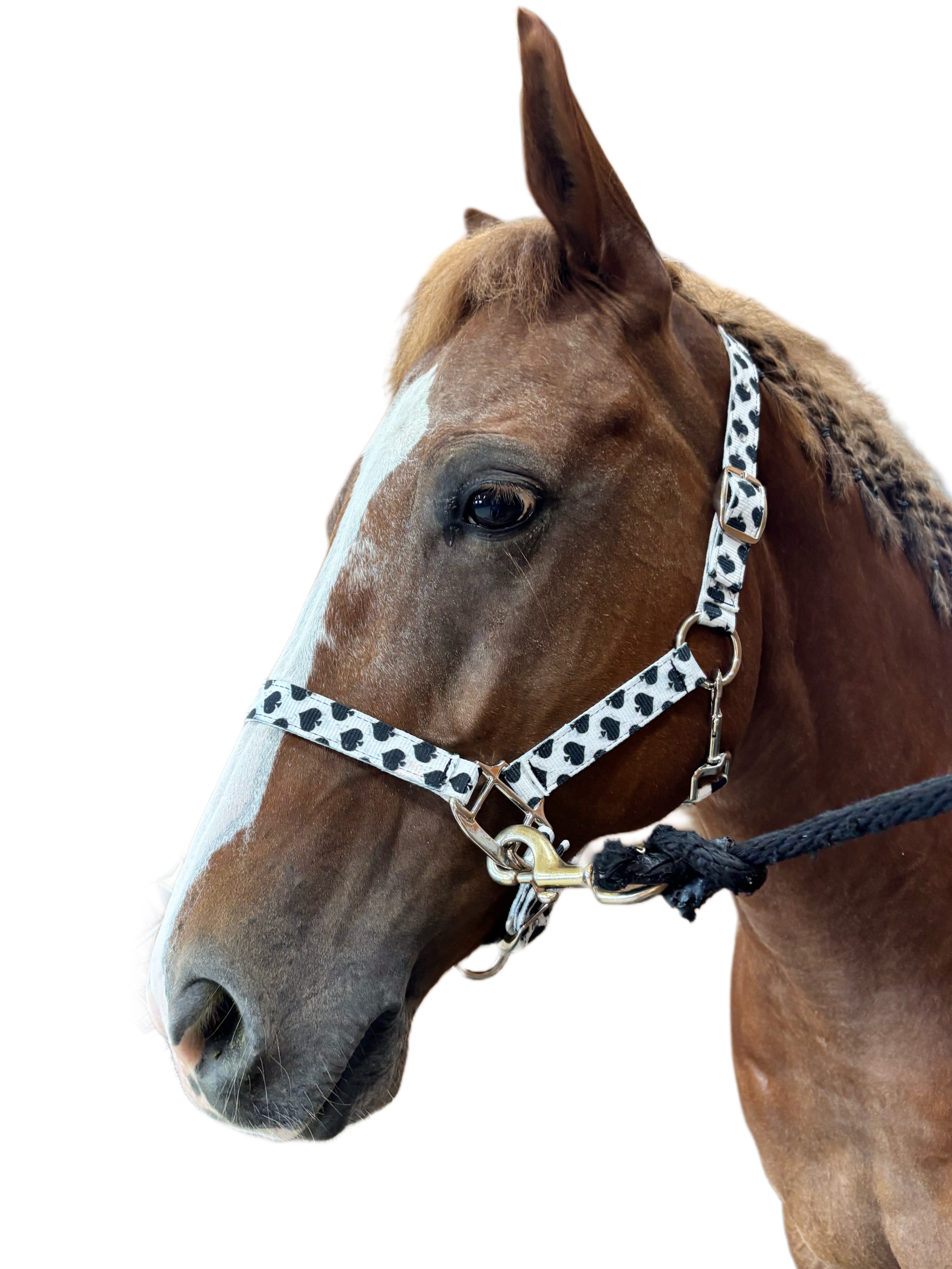 Smokin Spades Nylon Quick-Release Horse Halter