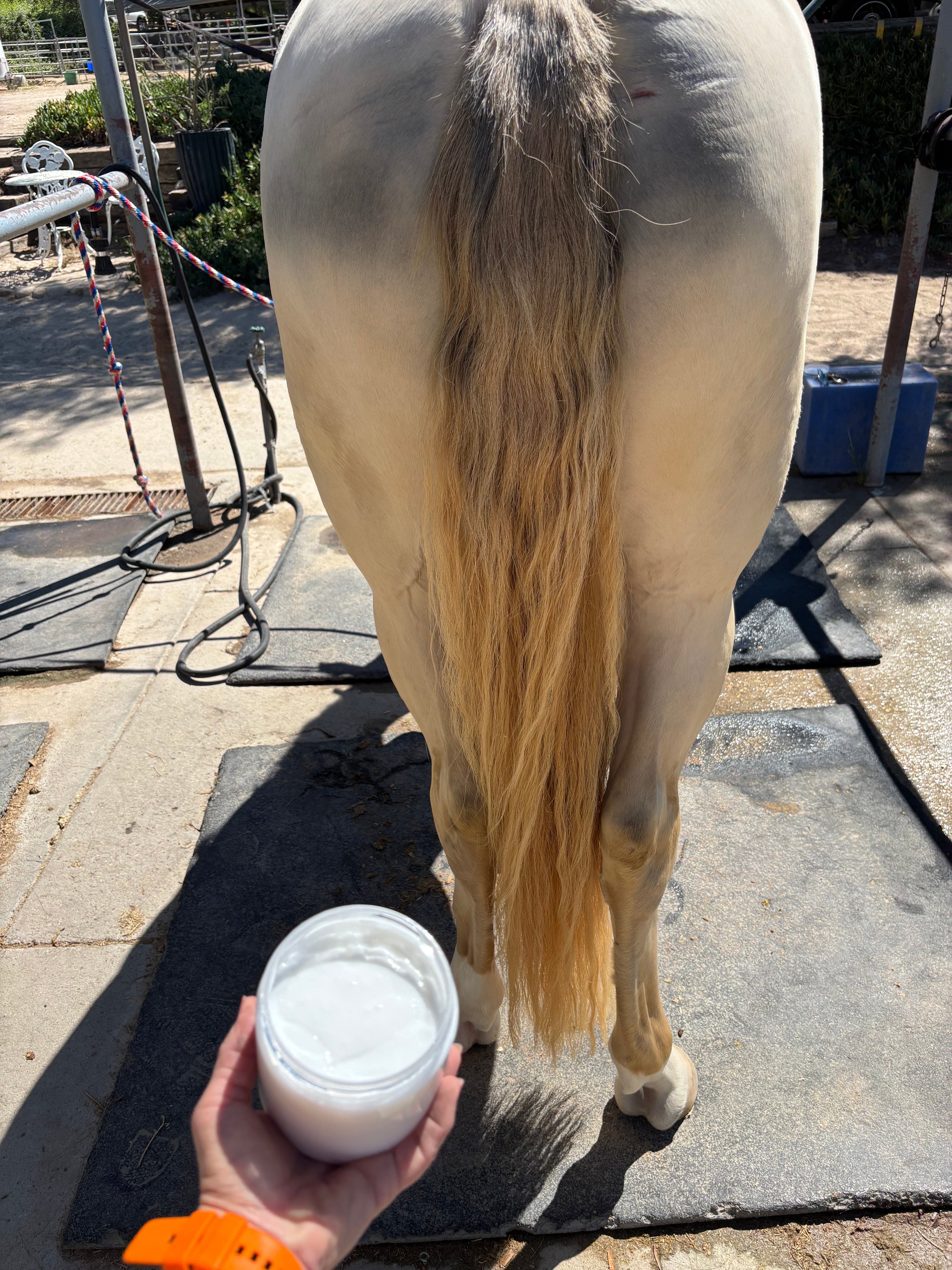 Batana Mane & Tail Deep Conditioner Mask 100% Natural   16 oz