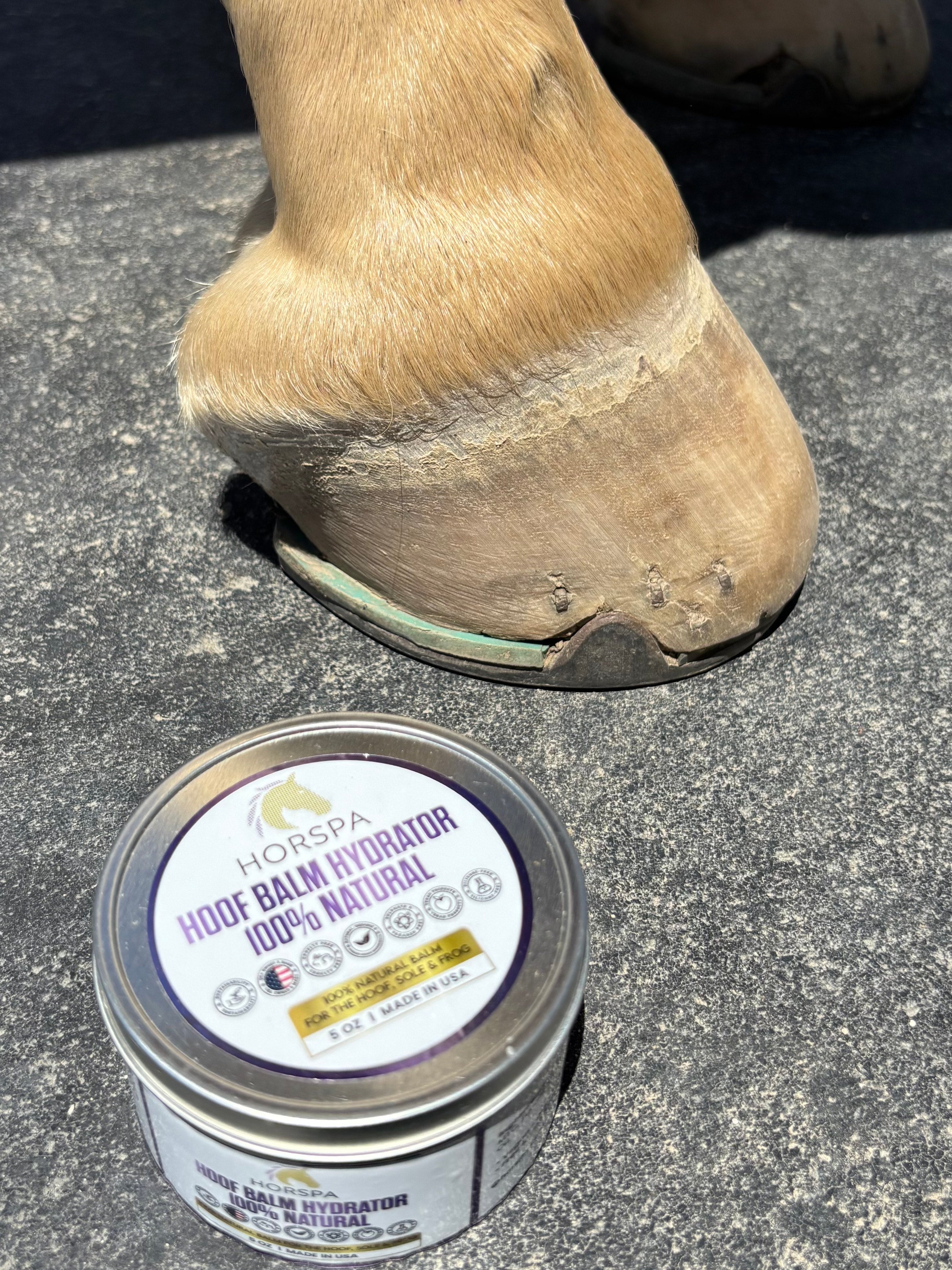 Hoof Balm Hydrator 100% Natural with Brush Applicator  5 oz