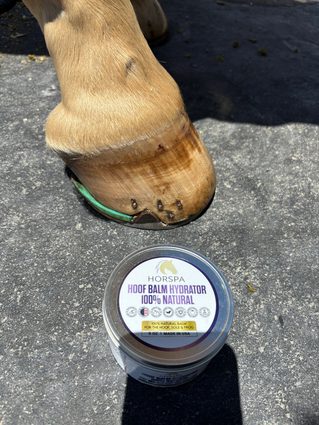 Hoof Balm Hydrator 100% Natural with Brush Applicator  5 oz
