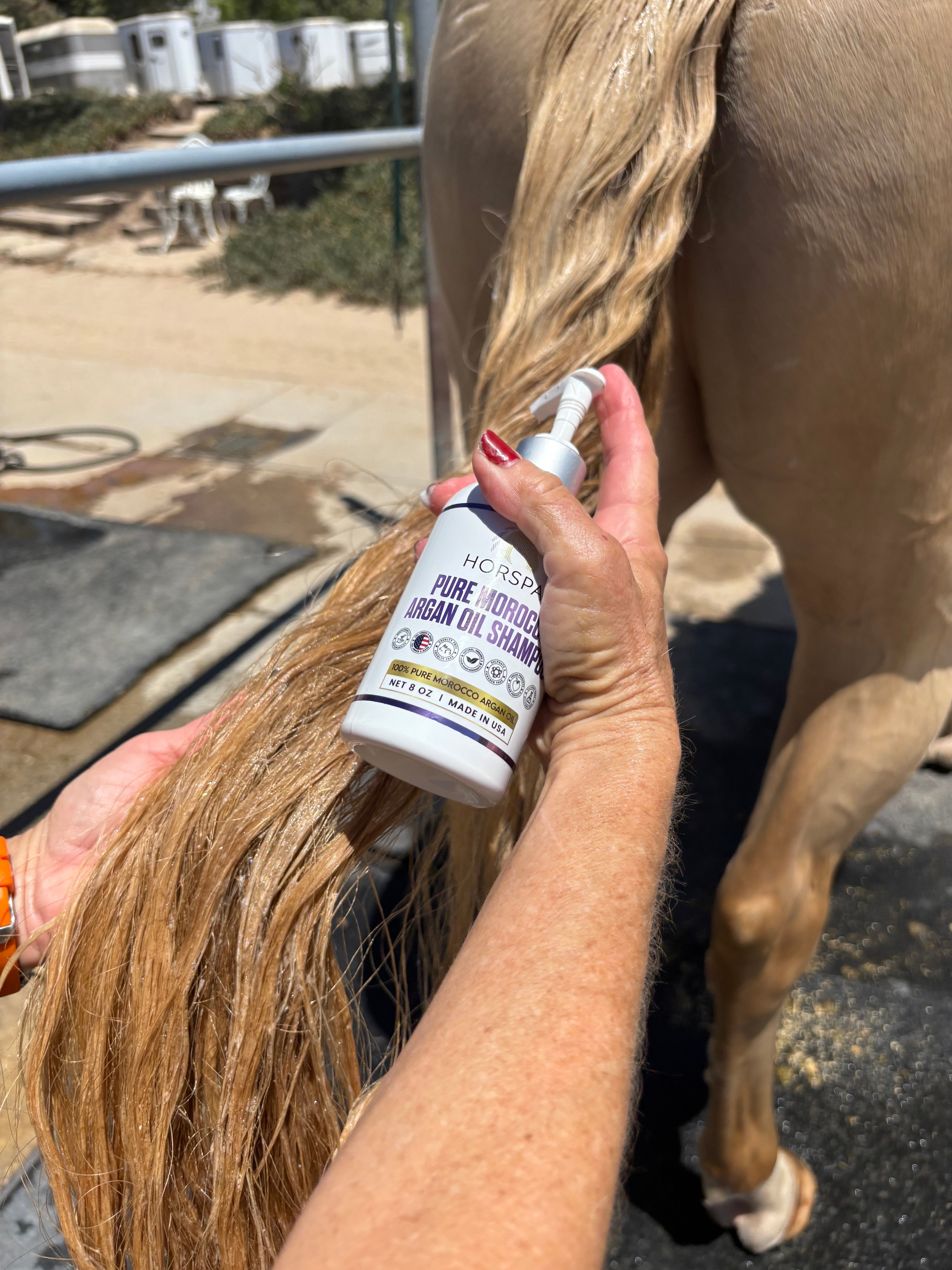 Pure Morocco Argan Oil Shampoo