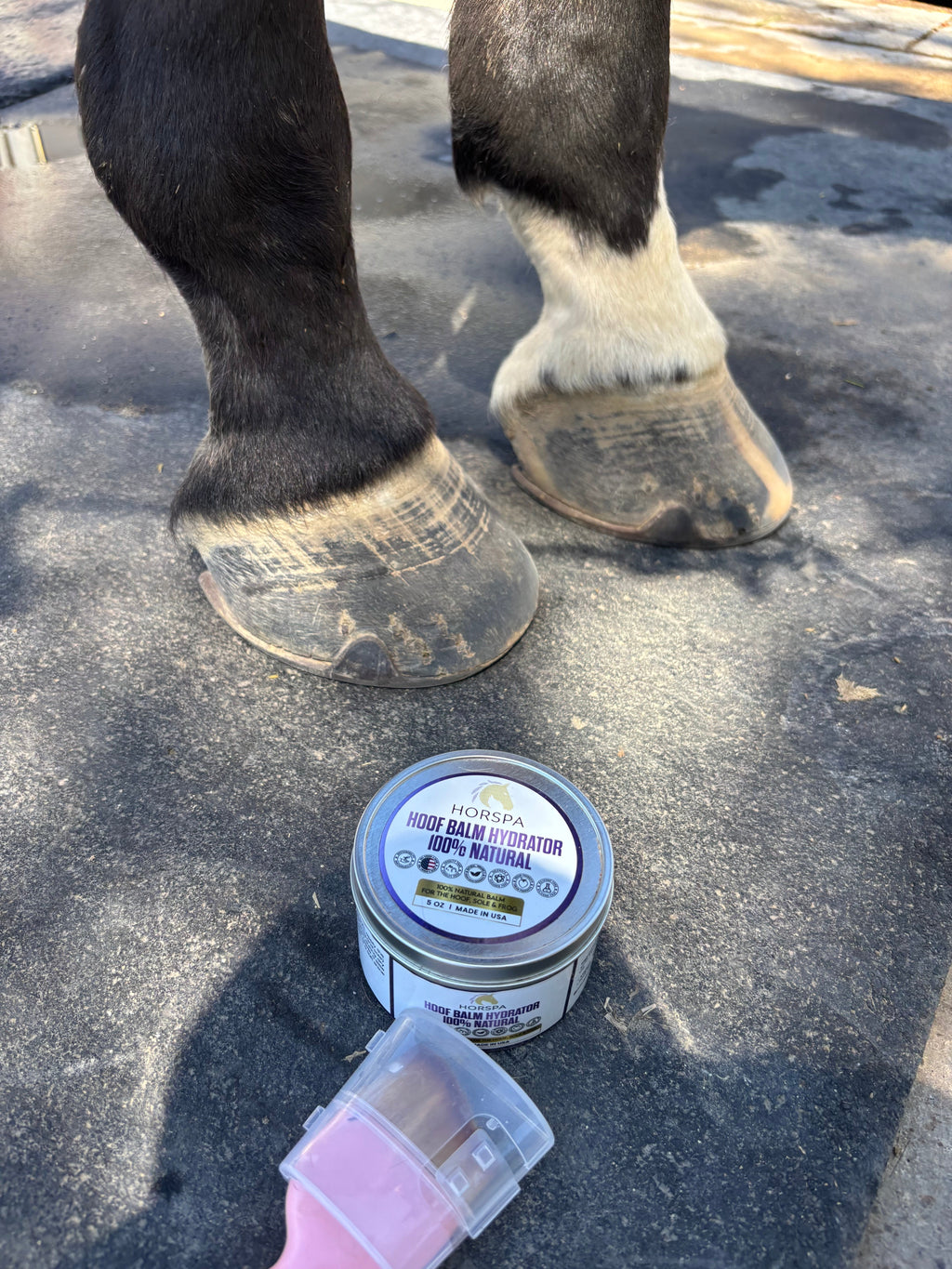 Hoof Balm Hydrator 100% Natural with Brush Applicator  5 oz