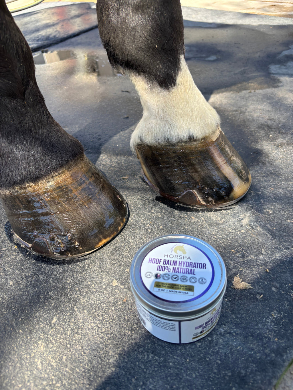 Hoof Balm Hydrator 100% Natural with Brush Applicator  5 oz