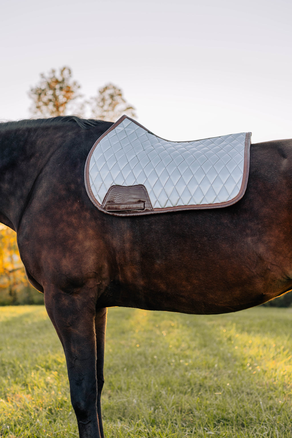 Jump Saddle Pad | Chrome