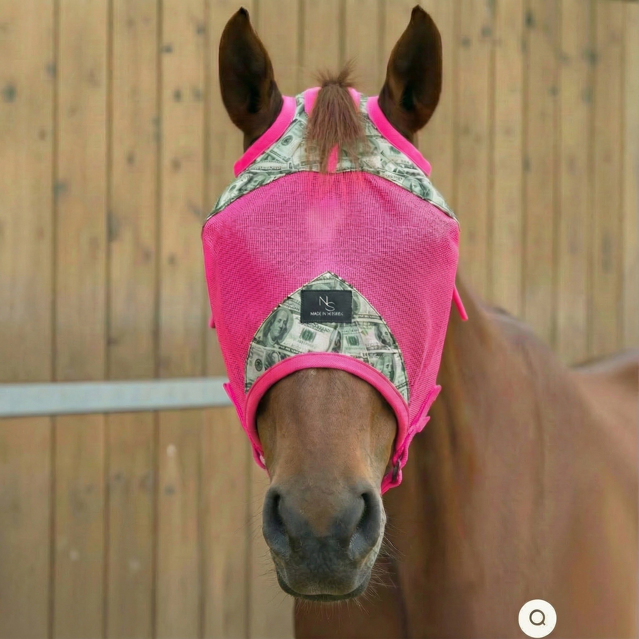 Entry Fees Fly Mask -Neon Pink