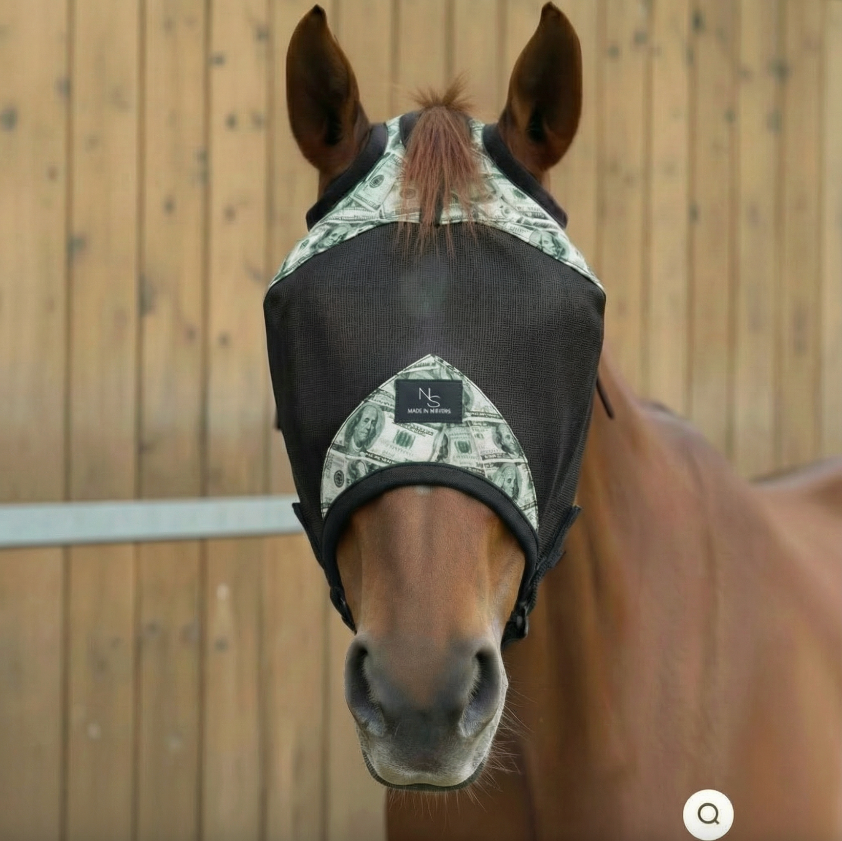 Entry Fees Fly Mask -Black