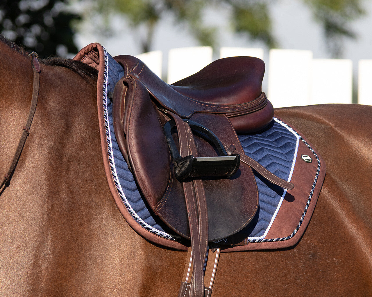 QHP All-Purpose Pony Shiva Saddle Pad
