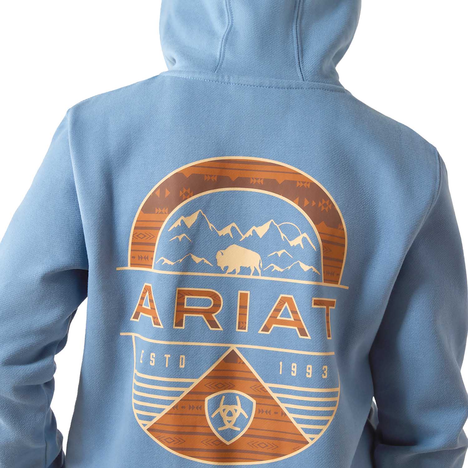 Ariat Youth Hoodie
