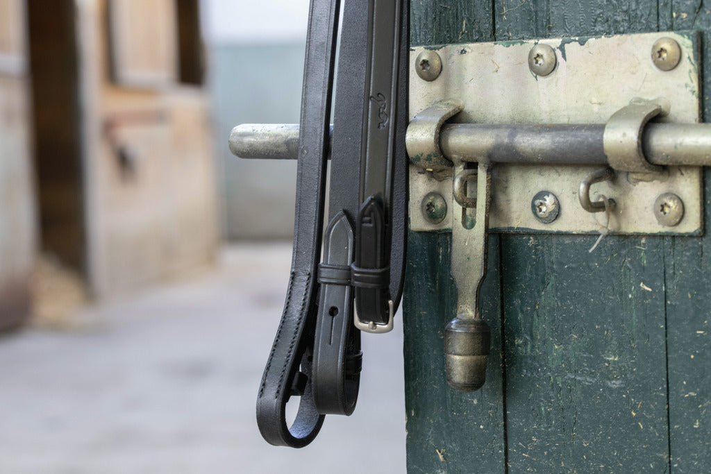 Penelope Daily Bridle