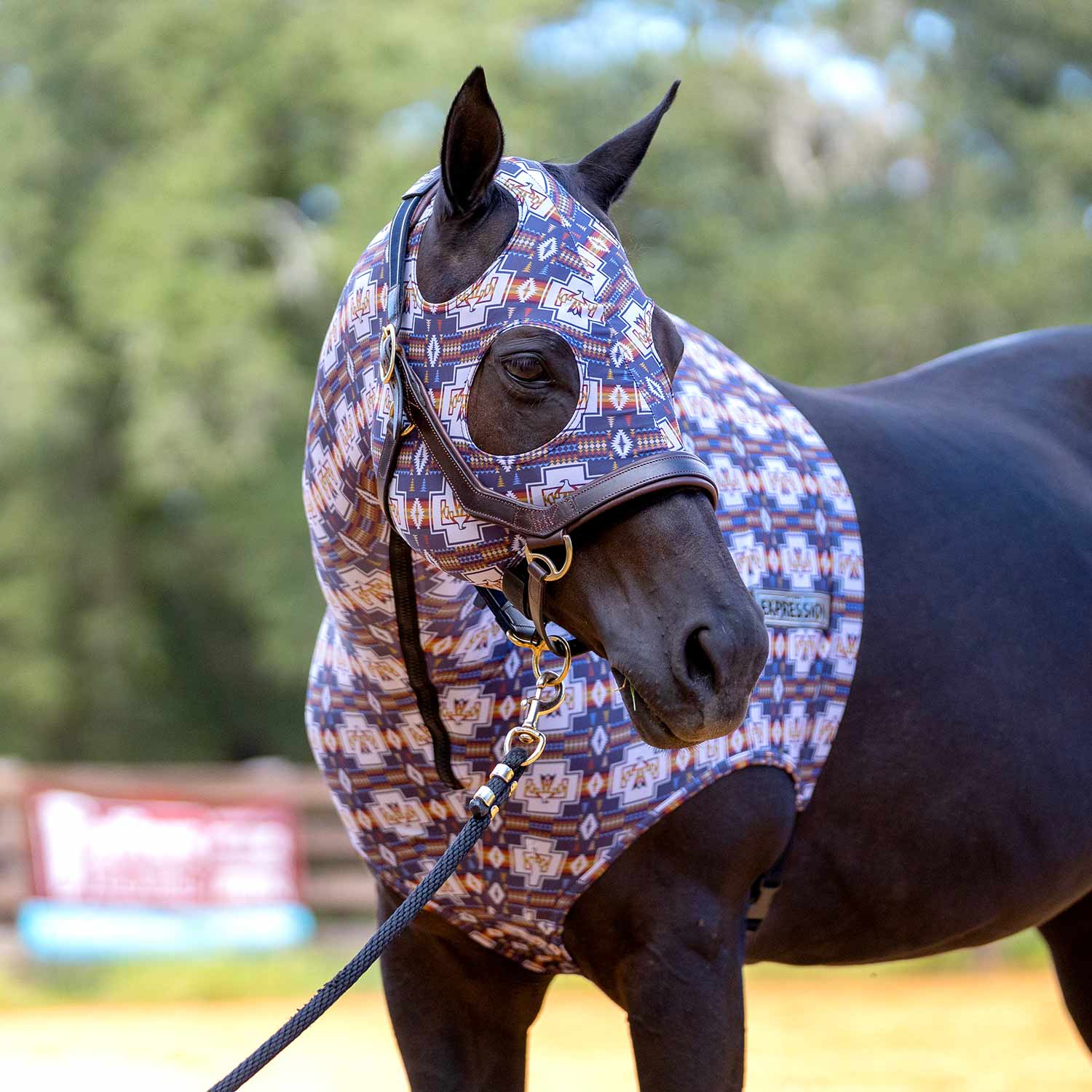 Jeffers Expression Lycra Hood for Horses
