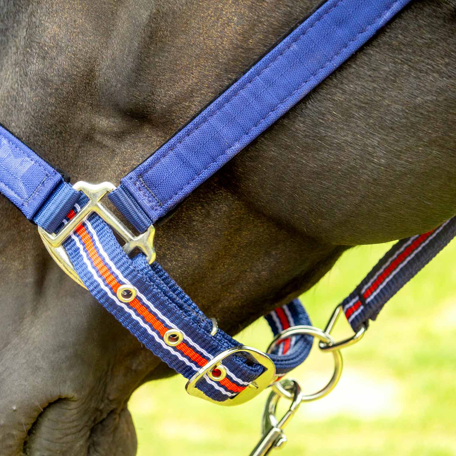 Jeffers Matching Horse Halter & Lead Rope 2 Piece Set, Full Size