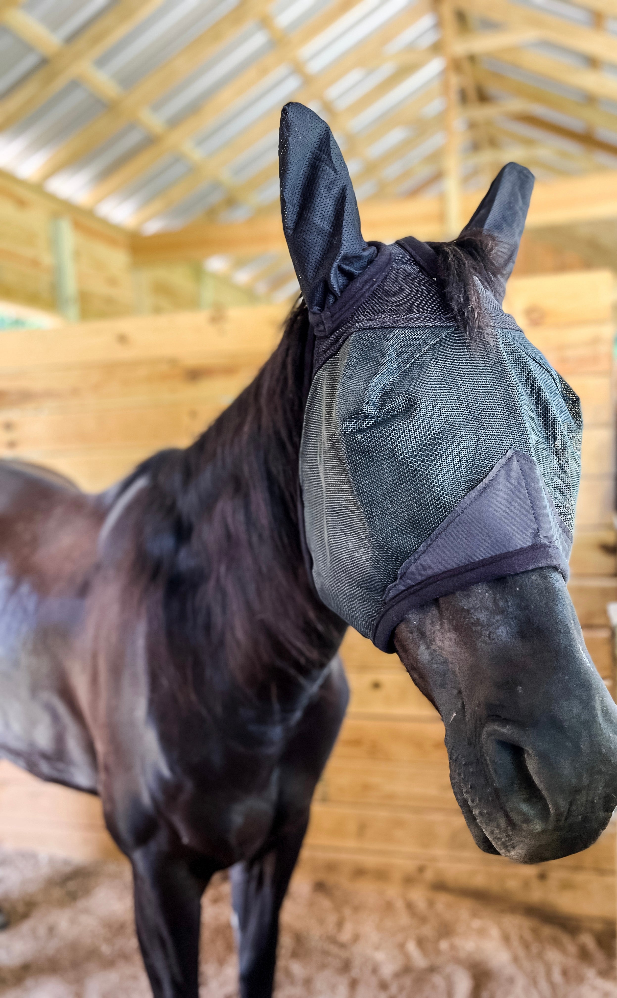AJ Tack Fly Mask with Ears