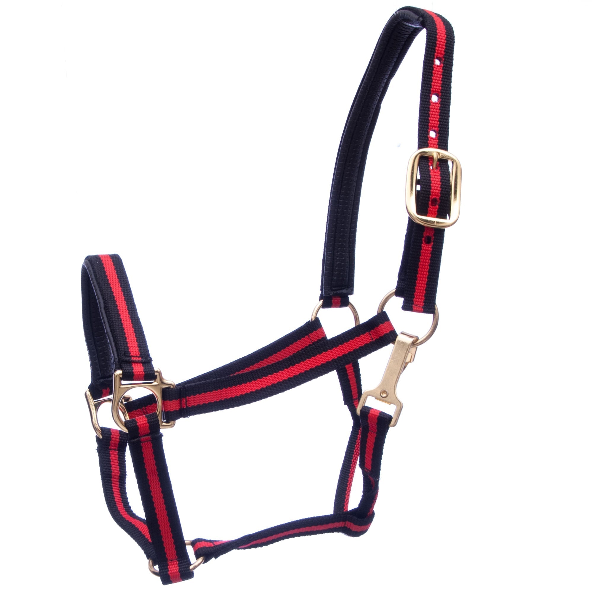Jeffers Padded Nylon Horse Halter with Throat Snap