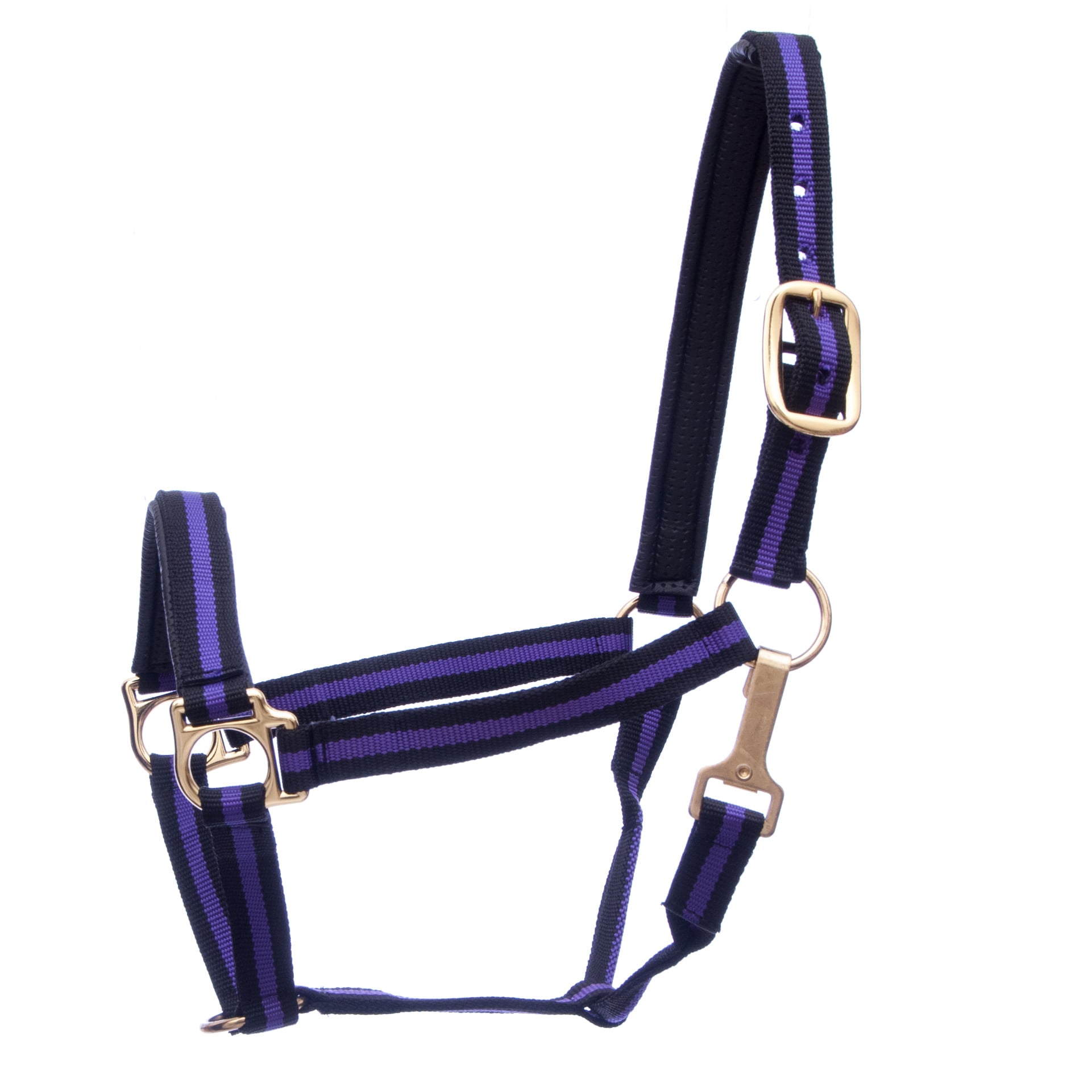 Jeffers Padded Nylon Horse Halter with Throat Snap